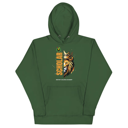 DCA SPIRIT HOODIE