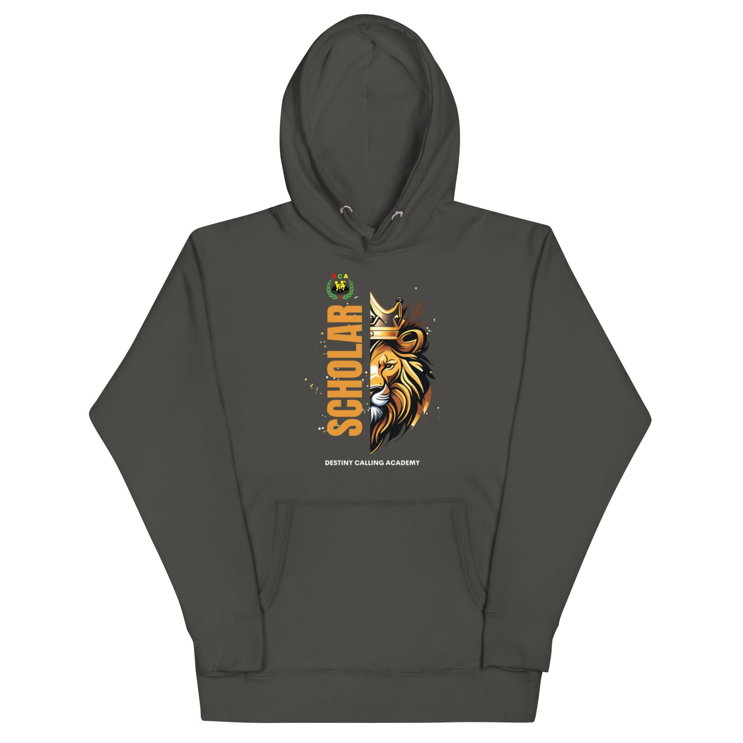 DCA SPIRIT HOODIE